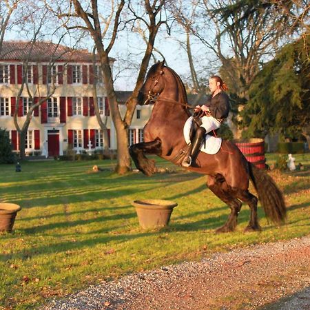 Le Relais Du Silence Chateau Lavail Labastide-dʼAnjou 外观 照片