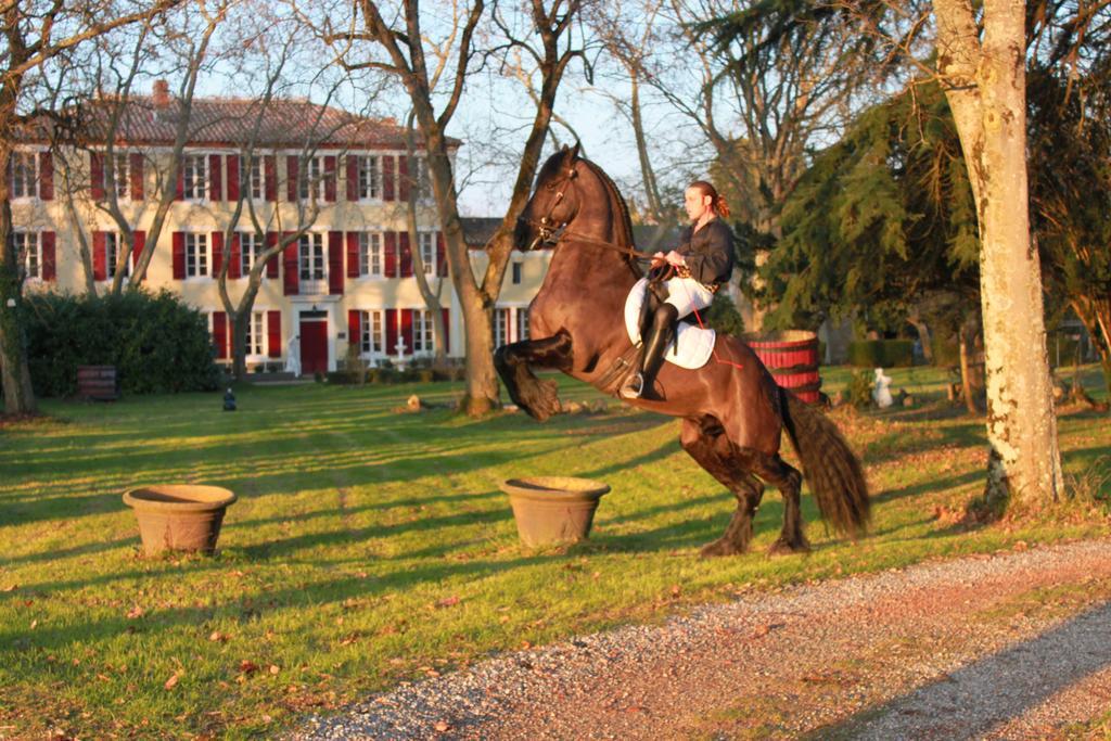 Le Relais Du Silence Chateau Lavail Labastide-dʼAnjou 外观 照片
